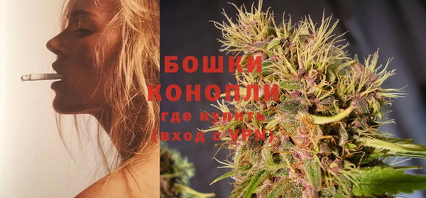 ПСИЛОЦИБИНОВЫЕ ГРИБЫ Иннополис