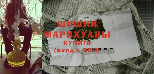 ПСИЛОЦИБИНОВЫЕ ГРИБЫ Иннополис