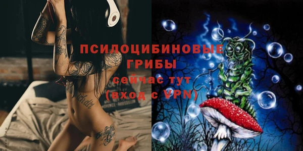 ПСИЛОЦИБИНОВЫЕ ГРИБЫ Иннополис