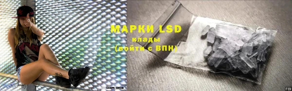 ПСИЛОЦИБИНОВЫЕ ГРИБЫ Иннополис